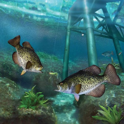 Crappies At The Old Steel Pier by Giordano Studios art print