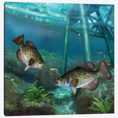 Crappies At The Old Steel Pier Canvas Print #GIO161} by Giordano Studios Canvas Print