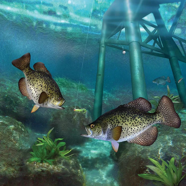 Crappies At The Old Steel Pier by Giordano Studios wall art