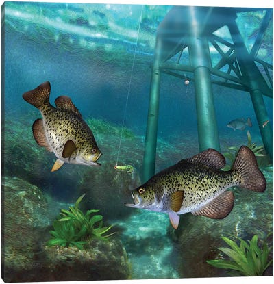 Crappies At The Old Steel Pier Canvas Art Print - Underwater Art
