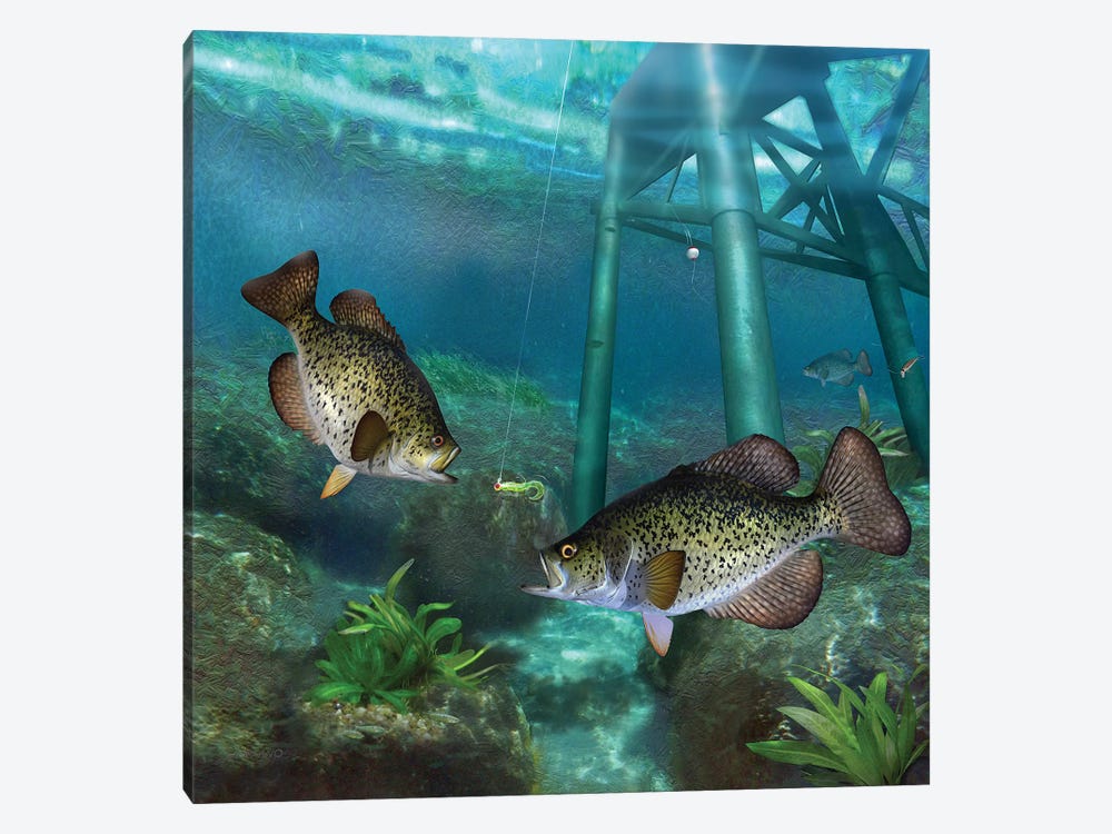 Crappies At The Old Steel Pier by Giordano Studios 1-piece Canvas Wall Art