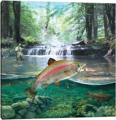 Below The First Waterfall Canvas Art Print - Fishing Art