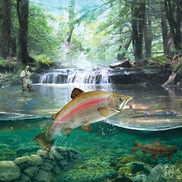 Trout: Below The First Waterfall by Giordano Studios