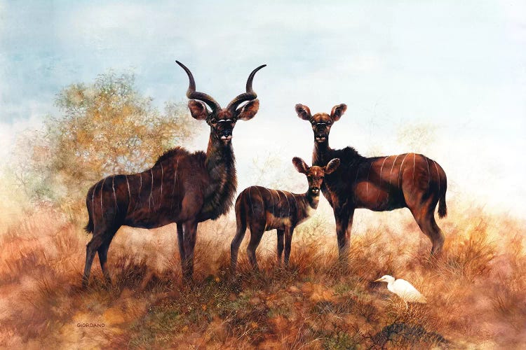 Kudus In The Savannah by Giordano Studios wall art