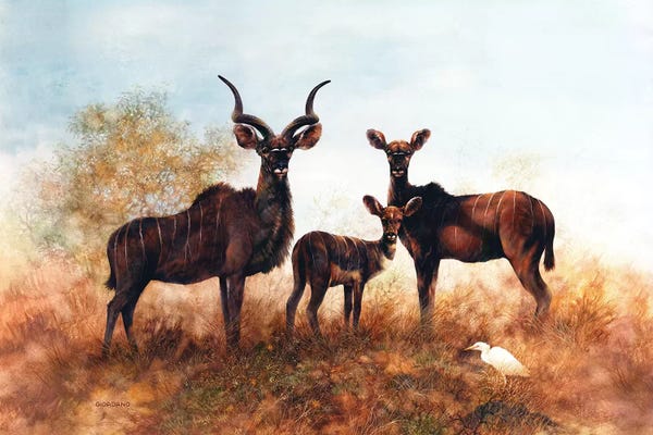 Elk: Kudus In The Savannah by Giordano Studios