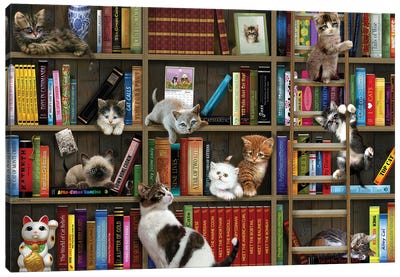 Library Kitties Canvas Art Print - Cat Art