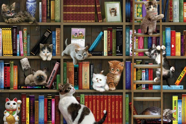Books: Library Kitties by Giordano Studios