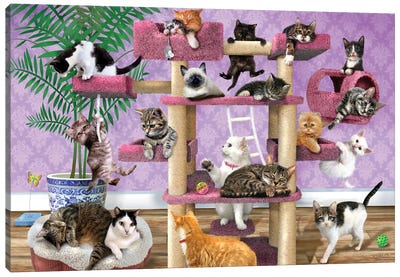 Kitties In the Funhouse Canvas Art Print - Kitten Art