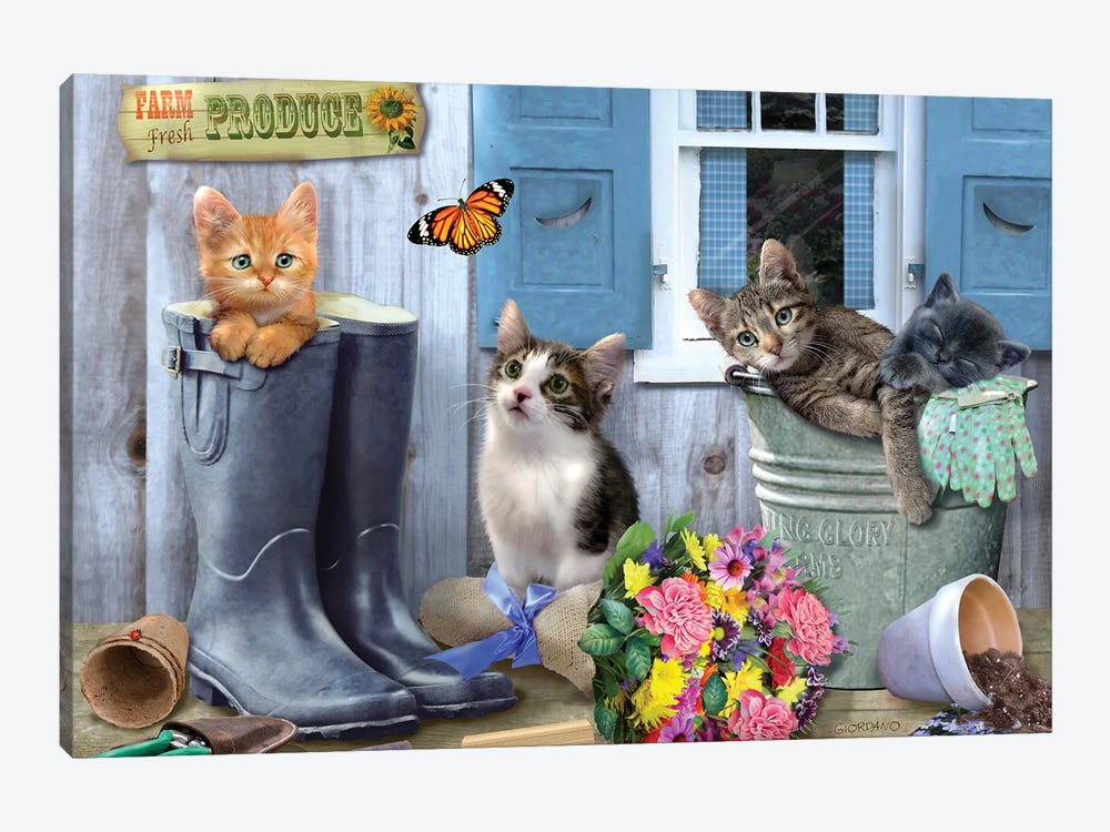 Garden Kitties by Giordano Studios 1-piece Canvas Wall Art