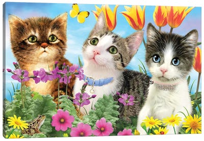 Kitty Trio Canvas Art Print - Kitten Art