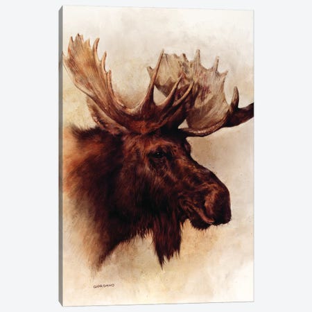 Moose Portrait Canvas Print #GIO17} by Giordano Studios Canvas Artwork