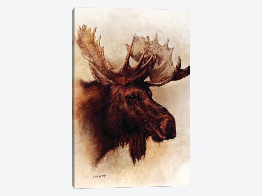 Moose Portrait by Giordano Studios 1-piece Canvas Art