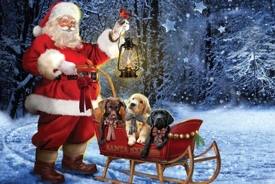 Santa's Special Trio by Giordano Studios art print