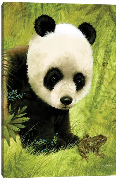 Panda's Visitor Canvas Art Print - Panda Art