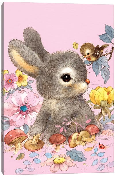 Baby Bunny Canvas Art Print - Giordano Studios