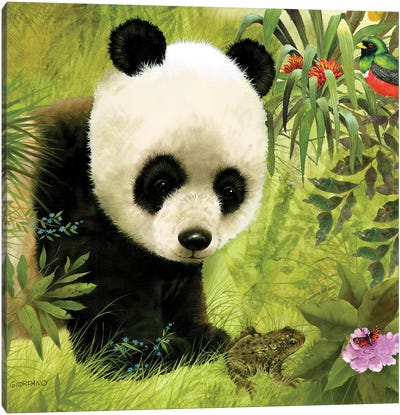 Panda's Visitor Full Canvas Art Print - Panda Art