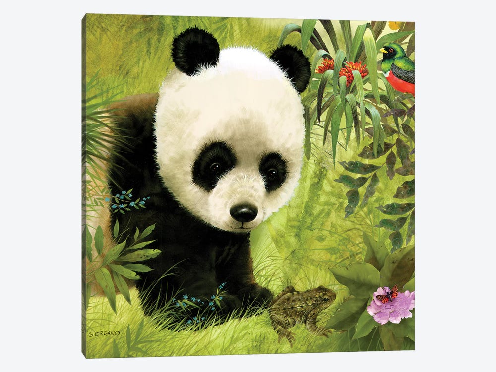 Panda's Visitor Full by Giordano Studios 1-piece Canvas Wall Art