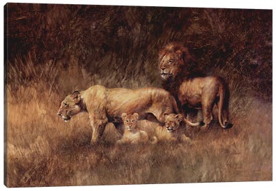 Pride Of Lions Canvas Art Print - Giordano Studios