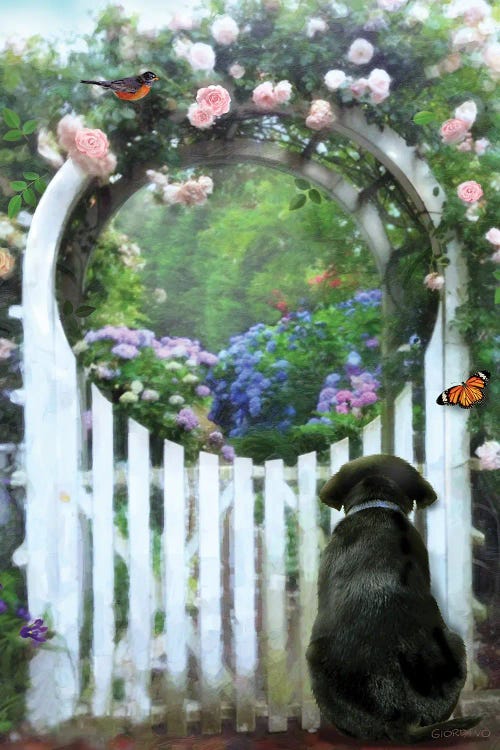 Beyond The Front Gate, Black Lab Wishes