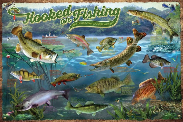 Salmon: Hooked On Fishing by Giordano Studios