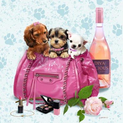 Diva Trio by Giordano Studios art print