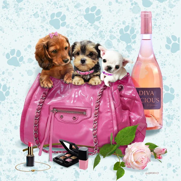 Make-Up: Diva Trio by Giordano Studios