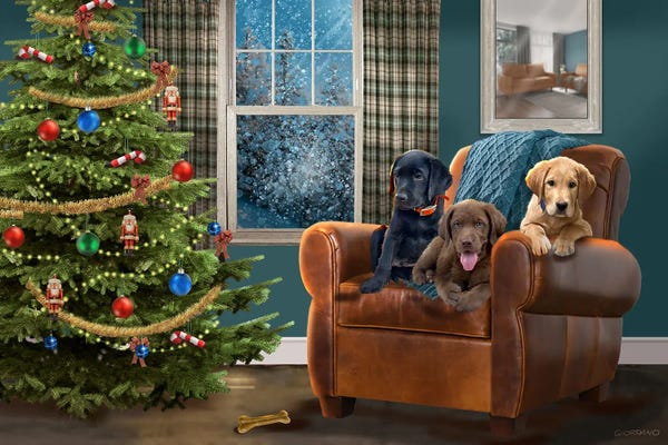 Gingham: Lab Trio Christmas by Giordano Studios