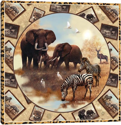 Safari Square Circle Canvas Art Print - Giordano Studios