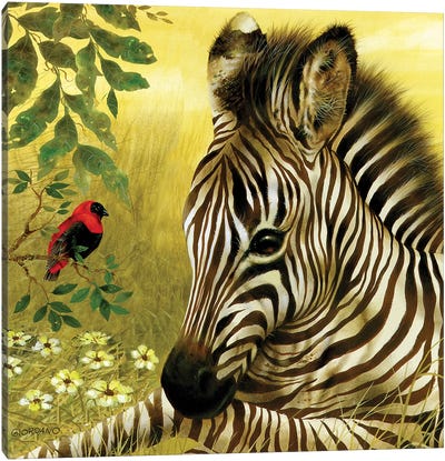 Young Z Canvas Art Print - Zebra Art