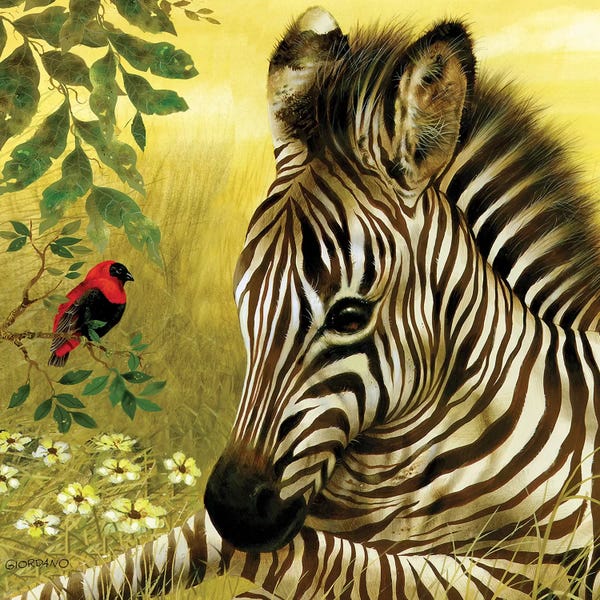 Zebras: Young Z by Giordano Studios