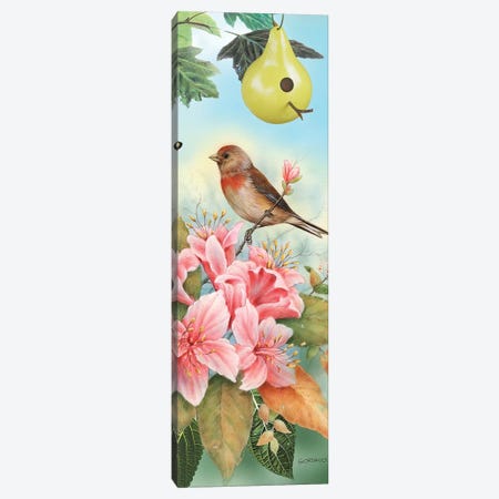A Finch For The Season Canvas Print #GIO27} by Giordano Studios Canvas Art Print