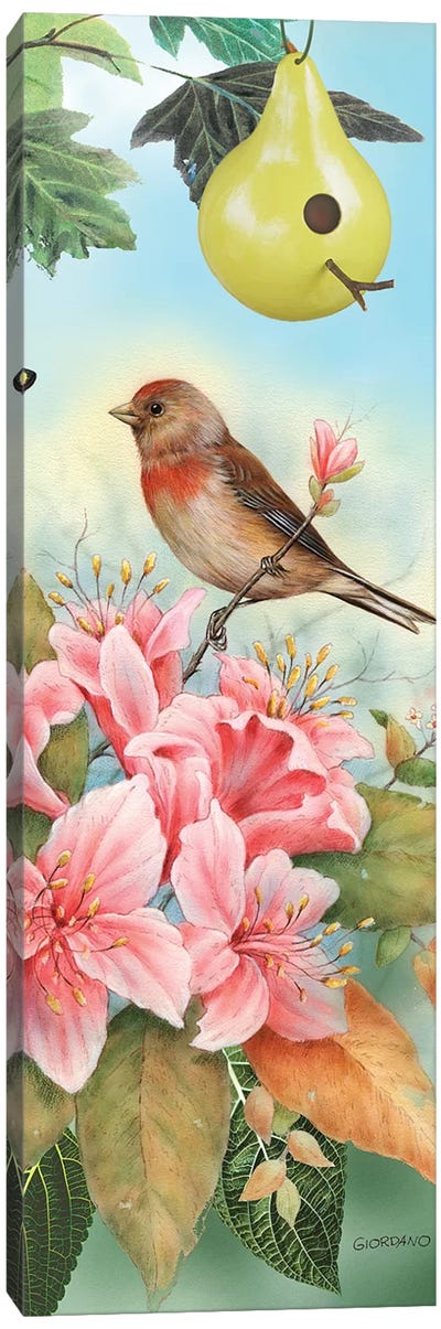 A Finch For The Season Canvas Art Print - Finch Art