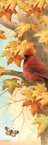 Panoramic Vertical: Autumn Ruby by Giordano Studios