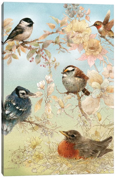 Baby Songbirds Canvas Art Print - Robin Art