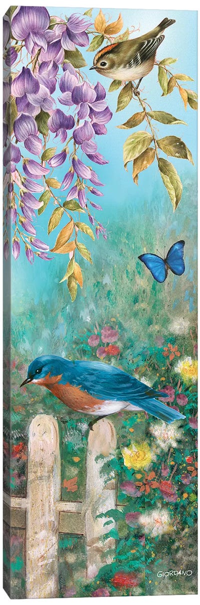 Backyard Bluebird Canvas Art Print - Giordano Studios