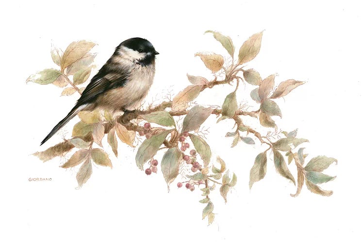 Chickadee Vignette by Giordano Studios wall art