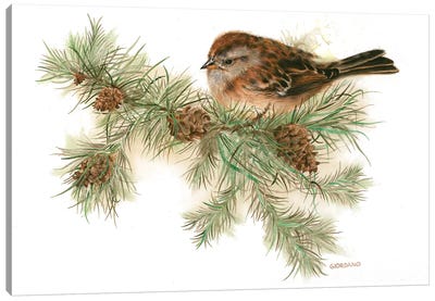 Hight In The Pines Canvas Art Print - Sparrow Art