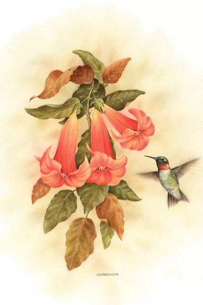 Hummingbird Delight by Giordano Studios art print