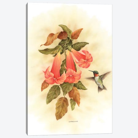 Hummingbird Delight Canvas Print #GIO35} by Giordano Studios Canvas Wall Art