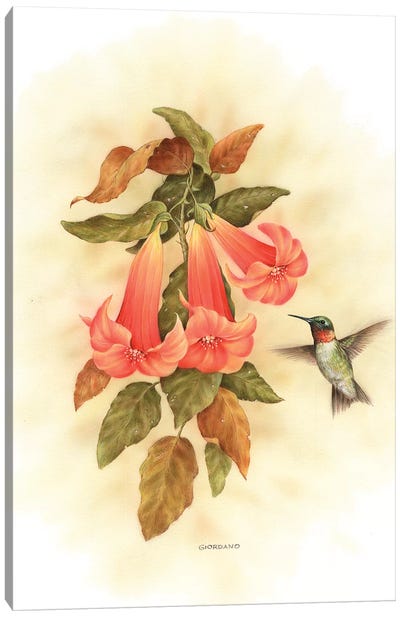 Hummingbird Delight Canvas Art Print - Hummingbird Art