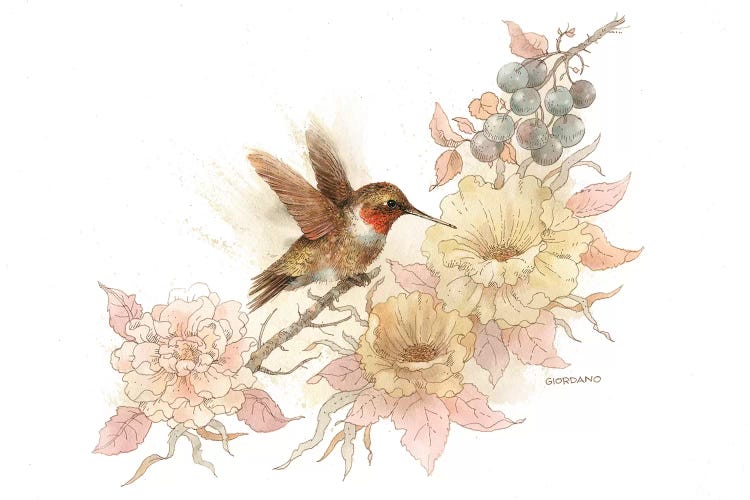 Hummingbird Vignette by Giordano Studios wall art