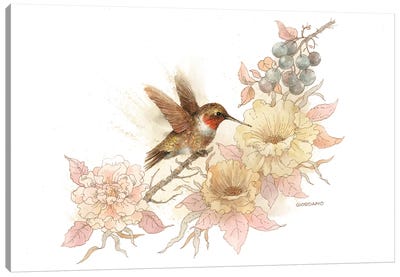 Hummingbird Vignette Canvas Art Print - Giordano Studios