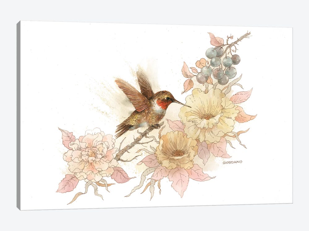 Hummingbird Vignette by Giordano Studios 1-piece Art Print