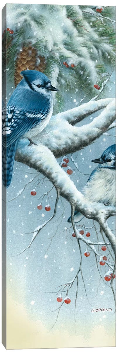 Jays And Pine Canvas Art Print - Rustic Winter