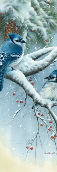 Rustic Winter: Jays And Pine by Giordano Studios