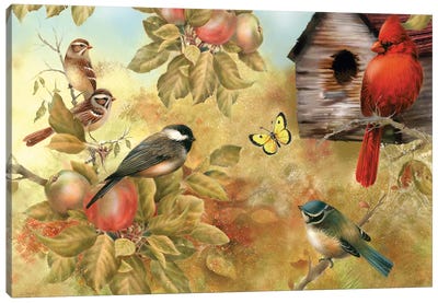 Of Apples And Songbirds Canvas Art Print - Robin Art