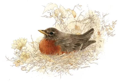 Robin Vignette by Giordano Studios art print