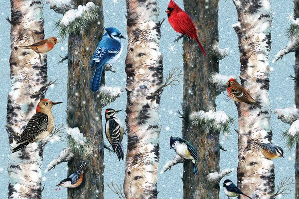 Birch Trees: Songbirds In The Forest by Giordano Studios