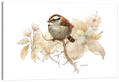 Sparrow Vignette Canvas Art Print - Giordano Studios