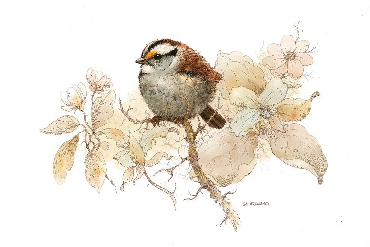 Sparrow Vignette by Giordano Studios wall art